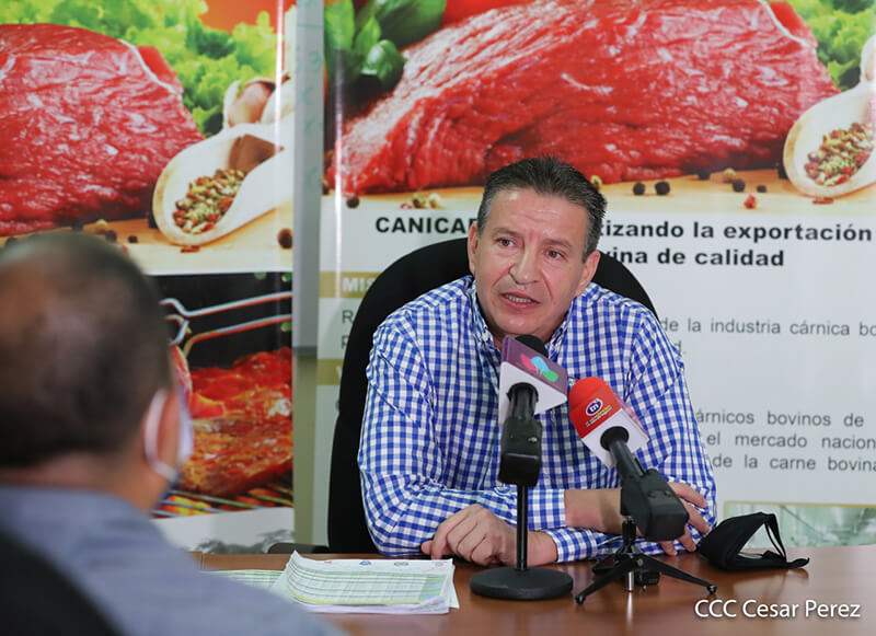 produccion-carne-nicaragua